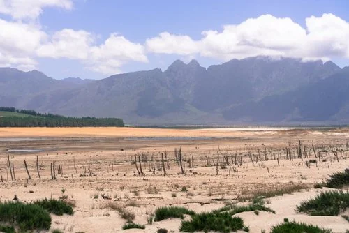 Cape Town: Nudges to Save Water